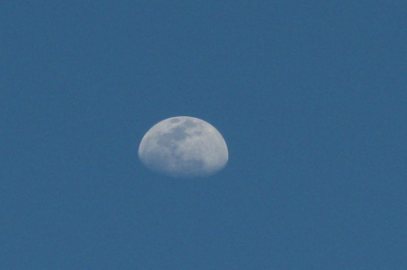 Ciel étoilé du désert
