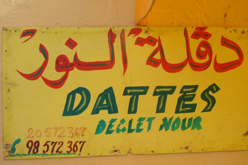 Dattes de l'oasis tunisienne
