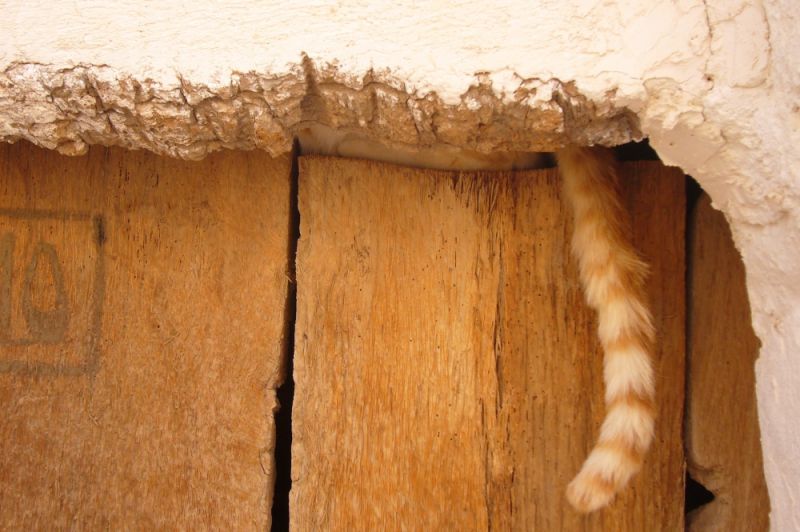 Ksars de Tataouine