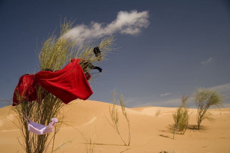 Le vent sculpe les dunes